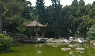 几点不要门票从哪个门进不要门票 厦门万石植物园攻略 几点不要门票从哪个门进不要门票 厦门万石植物园攻略