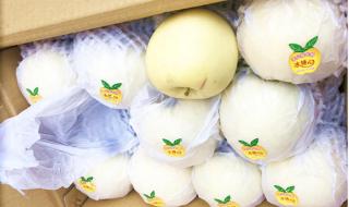 苹果梨出现糖心是因为什么