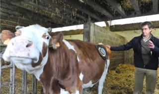 宝宝我放进去就不疼了 宝宝我放进去就不疼了